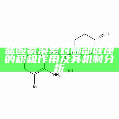 盐酸氨溴索对肺部健康的积极作用及其机制分析