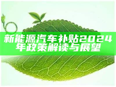 新能源汽车补贴2024年政策解读与展望