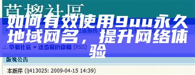 如何有效使用9uu永久地域网名，提升网络体验