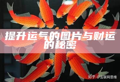 提升运气的图片与财运的秘密