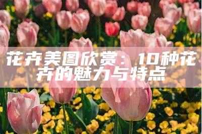 花卉美图欣赏：10种花卉的魅力与特点