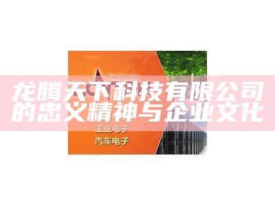 龙腾天下科技有限公司的忠义精神与企业文化