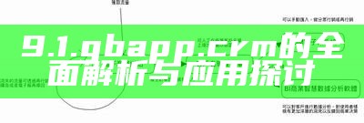 9.1.gbapp.crm的全面解析与应用探讨