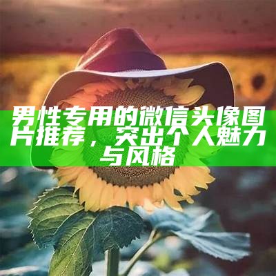 男性专用的微信头像图片推荐，突出个人魅力与风格