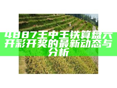 4887王中王铁算盘六开彩开奖的最新动态与分析