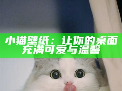 小猫壁纸：让你的桌面充满可爱与温馨