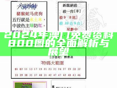 2024年澳门免费资料800图的全面解析与展望