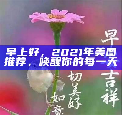 早上好，2021年美图推荐，唤醒你的每一天