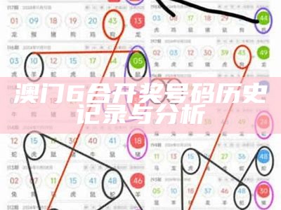 澳门6合开奖号码历史记录与分析