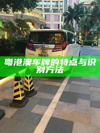 粤港澳车牌的特点与识别方法