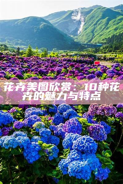 花卉美图欣赏：10种花卉的魅力与特点