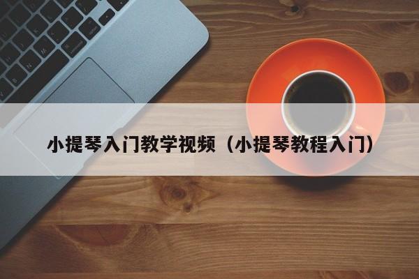 小提琴入门教学视频（小提琴教程入门） 第1张