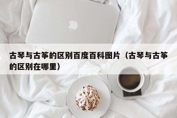 古琴与古筝的区别百度百科图片（古琴与古筝的区别在哪里） 第1张