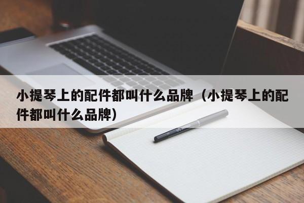 小提琴上的配件都叫什么品牌（小提琴上的配件都叫什么品牌） 第1张