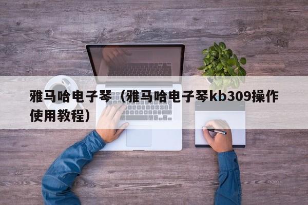 雅马哈电子琴（雅马哈电子琴kb309操作使用教程） 第1张