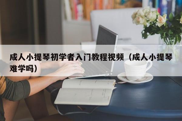 成人小提琴初学者入门教程视频（成人小提琴难学吗） 第1张