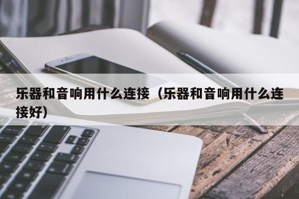 乐器和音响用什么连接（乐器和音响用什么连接好） 第1张