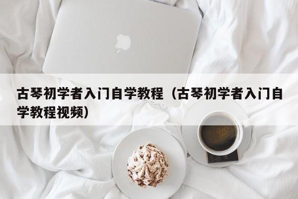 古琴初学者入门自学教程（古琴初学者入门自学教程视频） 第1张