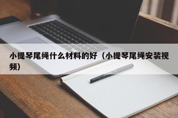 小提琴尾绳什么材料的好（小提琴尾绳安装视频） 第1张