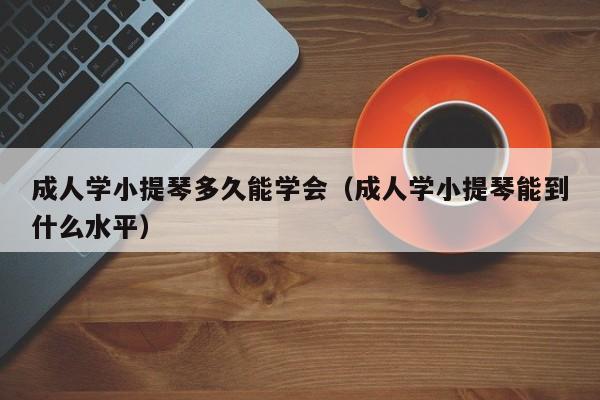 成人学小提琴多久能学会（成人学小提琴能到什么水平） 第1张