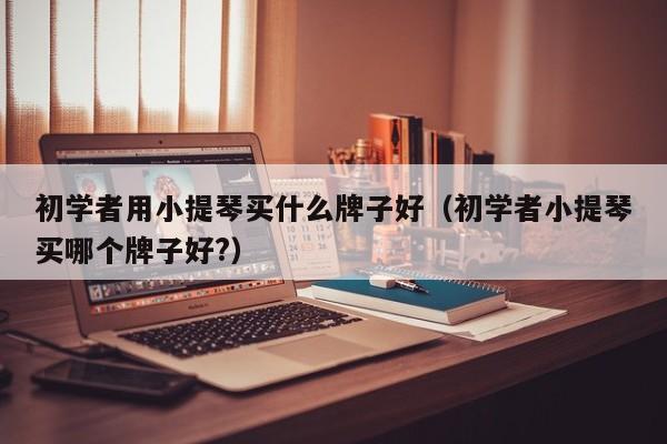 初学者用小提琴买什么牌子好（初学者小提琴买哪个牌子好?） 第1张