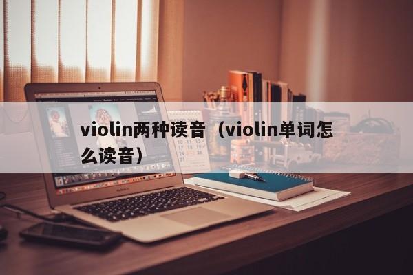 violin两种读音（violin单词怎么读音） 第1张