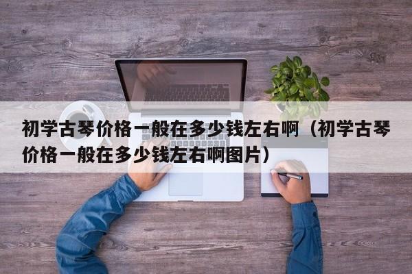 初学古琴价格一般在多少钱左右啊（初学古琴价格一般在多少钱左右啊图片） 第1张