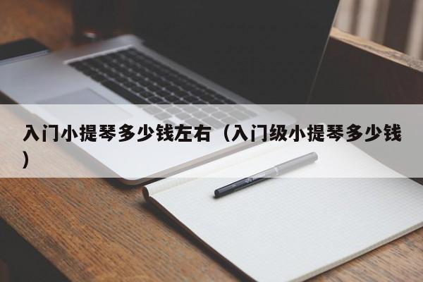 入门小提琴多少钱左右（入门级小提琴多少钱） 第1张