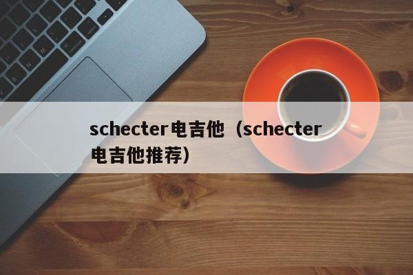 schecter电吉他（schecter电吉他推荐） 第1张