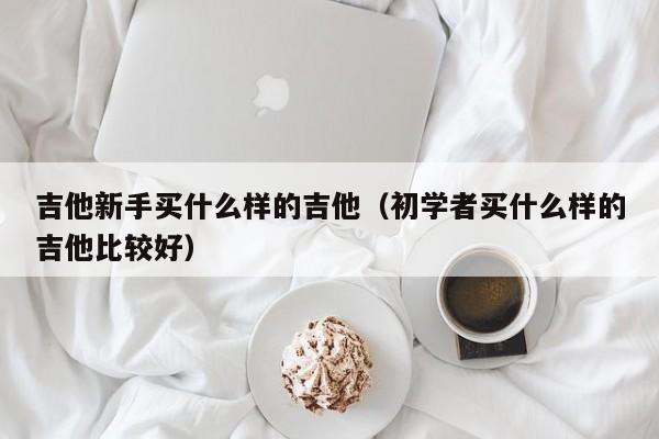 吉他新手买什么样的吉他（初学者买什么样的吉他比较好） 第1张