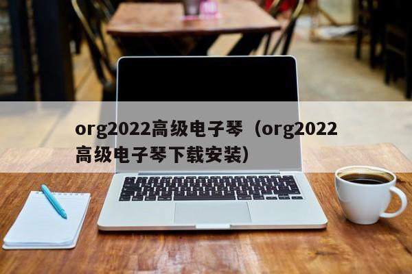 org2022高级电子琴（org2022高级电子琴下载安装） 第1张