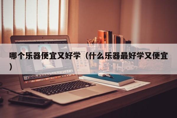 哪个乐器便宜又好学（什么乐器最好学又便宜） 第1张