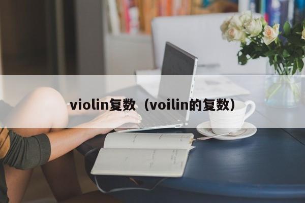 violin复数（voilin的复数） 第1张