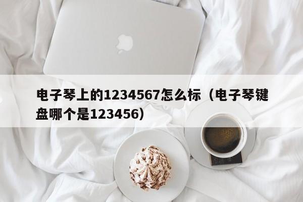 电子琴上的1234567怎么标（电子琴键盘哪个是123456） 第1张