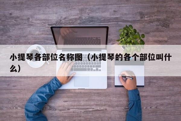 小提琴各部位名称图（小提琴的各个部位叫什么） 第1张