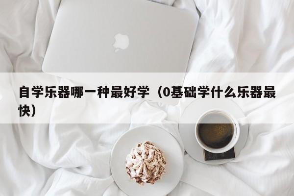 自学乐器哪一种最好学（0基础学什么乐器最快） 第1张