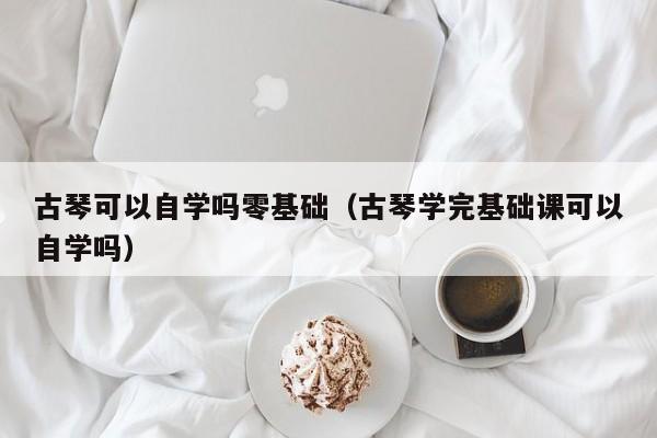 古琴可以自学吗零基础（古琴学完基础课可以自学吗） 第1张