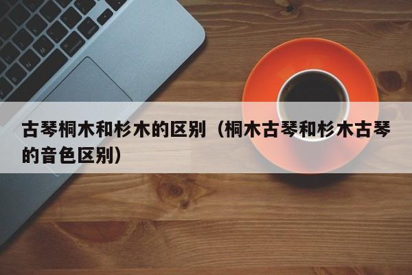 古琴桐木和杉木的区别（桐木古琴和杉木古琴的音色区别） 第1张