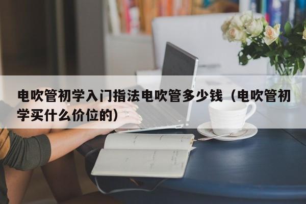 电吹管初学入门指法电吹管多少钱（电吹管初学买什么价位的） 第1张