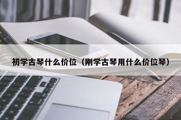 初学古琴什么价位（刚学古琴用什么价位琴） 第1张