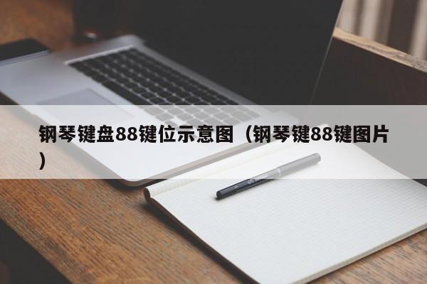 钢琴键盘88键位示意图（钢琴键88键图片） 第1张