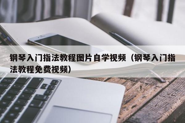 钢琴入门指法教程图片自学视频（钢琴入门指法教程免费视频） 第1张