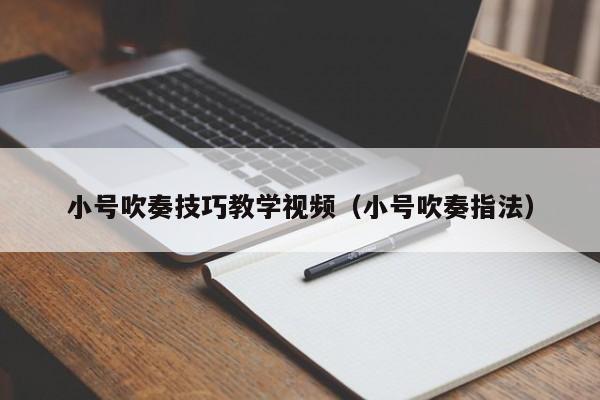 小号吹奏技巧教学视频（小号吹奏指法） 第1张