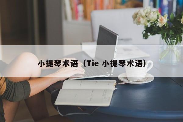 小提琴术语（Tie 小提琴术语） 第1张