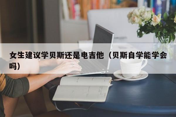 女生建议学贝斯还是电吉他（贝斯自学能学会吗） 第1张