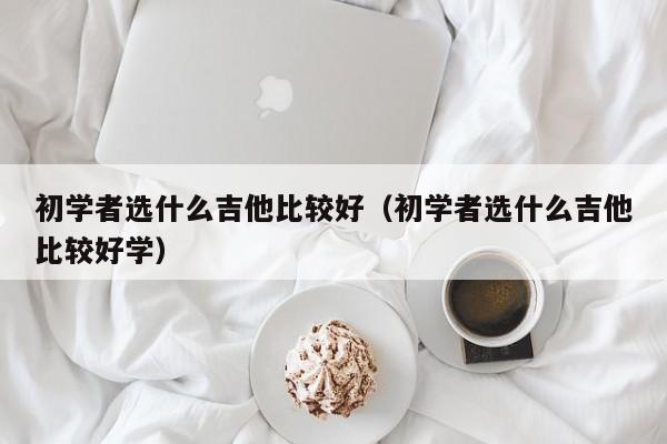 初学者选什么吉他比较好（初学者选什么吉他比较好学） 第1张