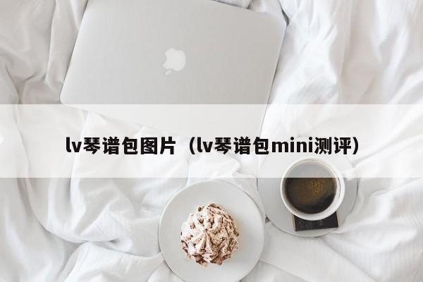 lv琴谱包图片（lv琴谱包mini测评） 第1张