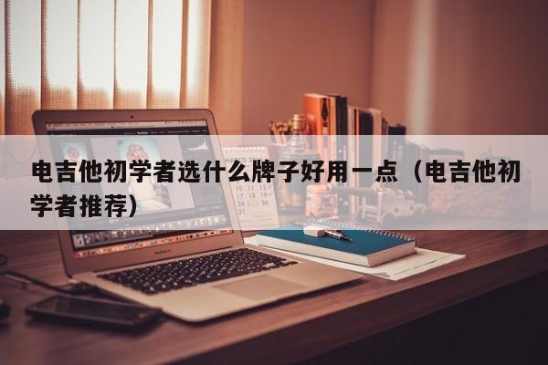 电吉他初学者选什么牌子好用一点（电吉他初学者推荐） 第1张