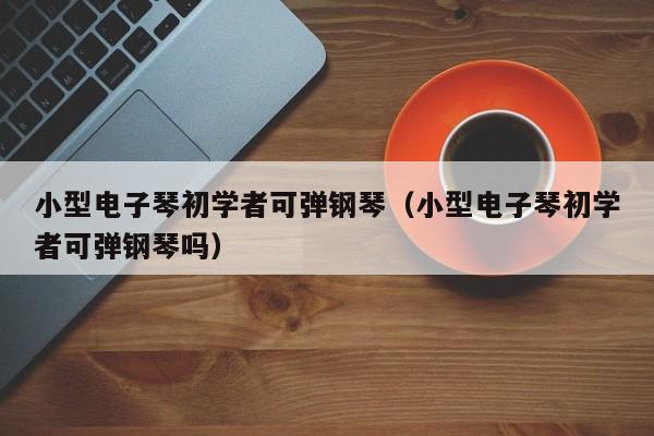 小型电子琴初学者可弹钢琴（小型电子琴初学者可弹钢琴吗） 第1张