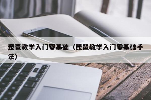 琵琶教学入门零基础（琵琶教学入门零基础手法） 第1张